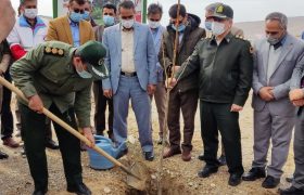 برگزاری جشن درختکاری به مناسبت آغاز هفته منابع طبیعی