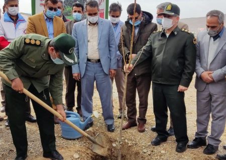 برگزاری جشن درختکاری به مناسبت آغاز هفته منابع طبیعی