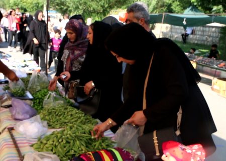 بازارچه عرضه محصولات متنوع در دلفان؛ فرصتی برای نمایش هنر و طعم‌های بومی