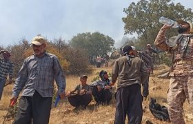 🔥حضور موثر نیروهای بسیجی درمهار آتش سوزی  کوه های چراغ آباد