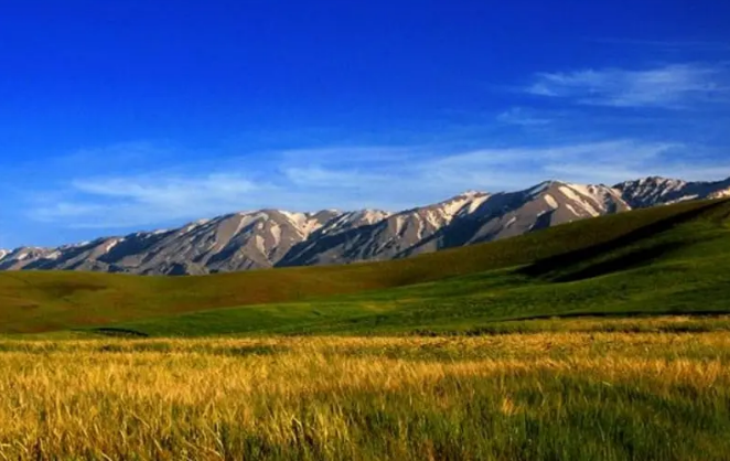 آیتم_تصویری| مستند زیبای دُم آیزَ زیبای شهرستان دلفان لرستان