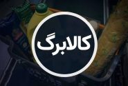 واریز کالابرگ دهک ها