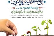 تلاوت روزانه یک آیه قرآن