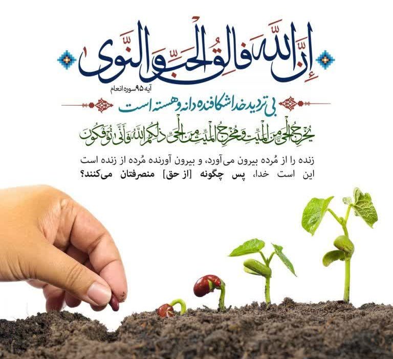 تلاوت روزانه یک آیه قرآن