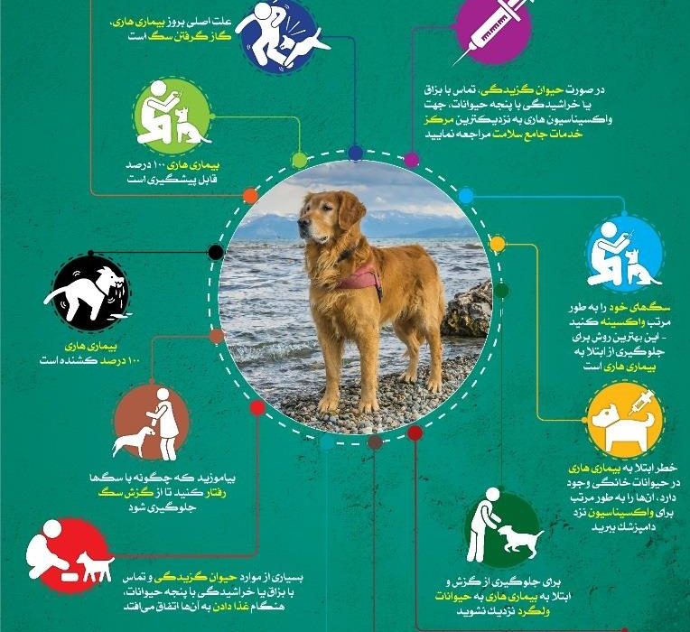 🔻بیماری هاری چیست؟